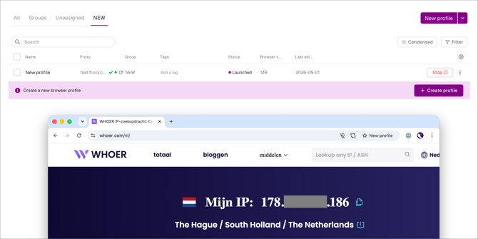 check IP address